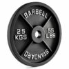 Standard Barbell Plate Guss